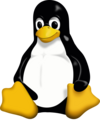 Generic 32-bit and 64-bit static Linux binaries